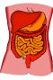 Gastroenterology Physicians & 
Surgeons